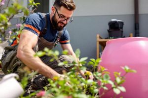 Les astuces pour recycler les eaux de pluie dans votre jardin